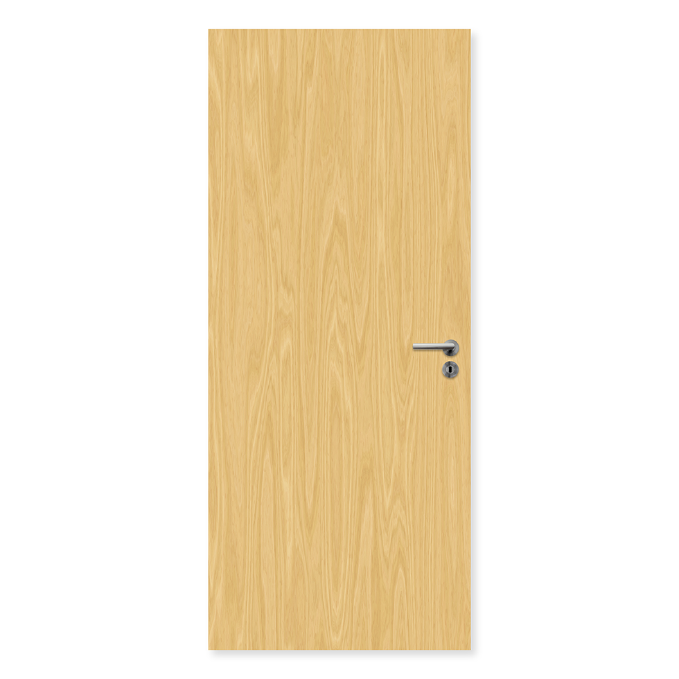 30 Minute Fire Doors | 30 Min Fire Rated Doors – Premier Fire Doors